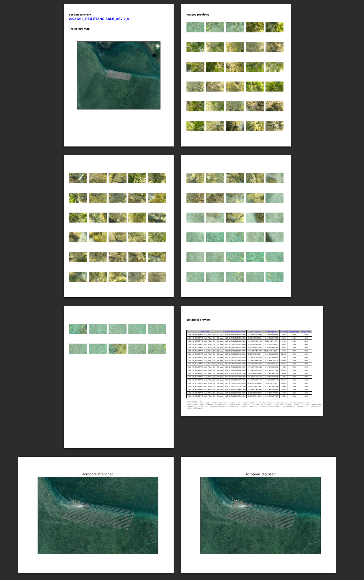 Exemple de rapport PDF.