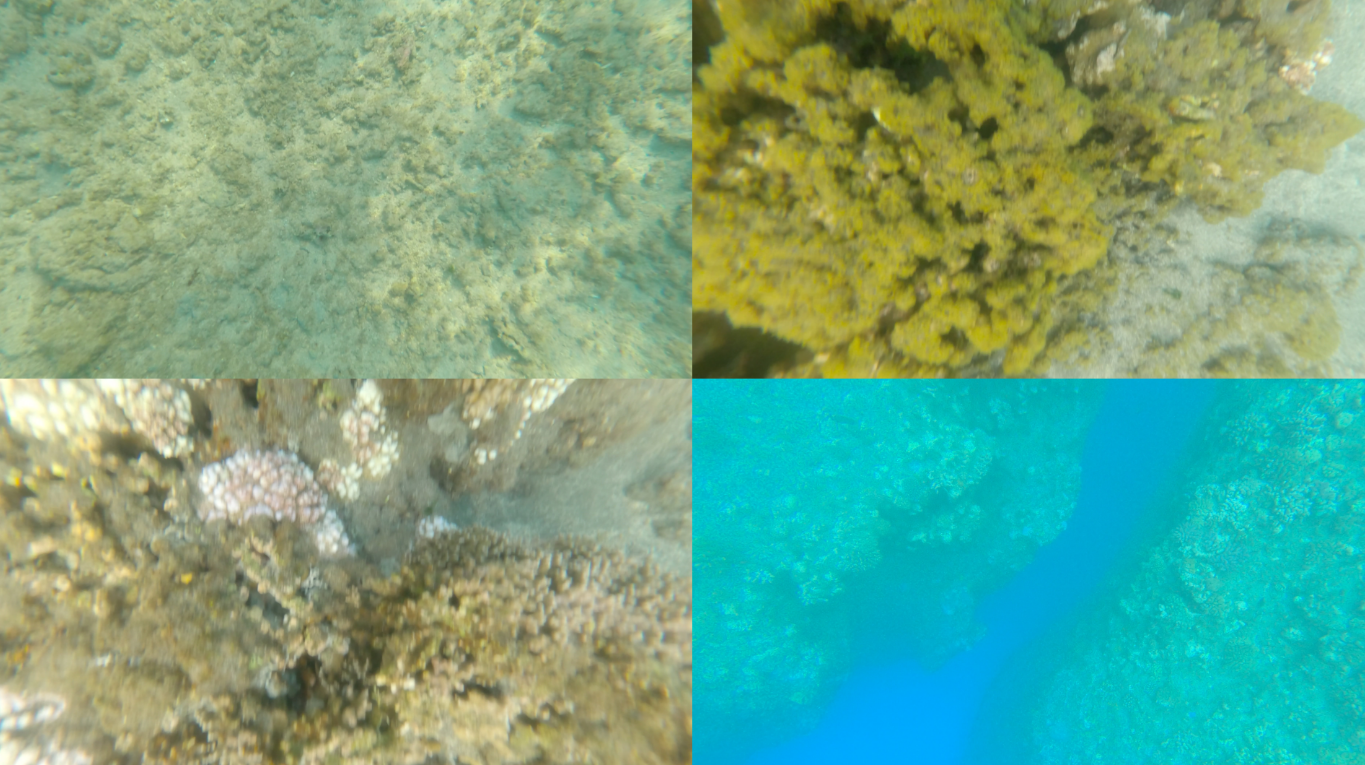 Exemples d'images utiles.